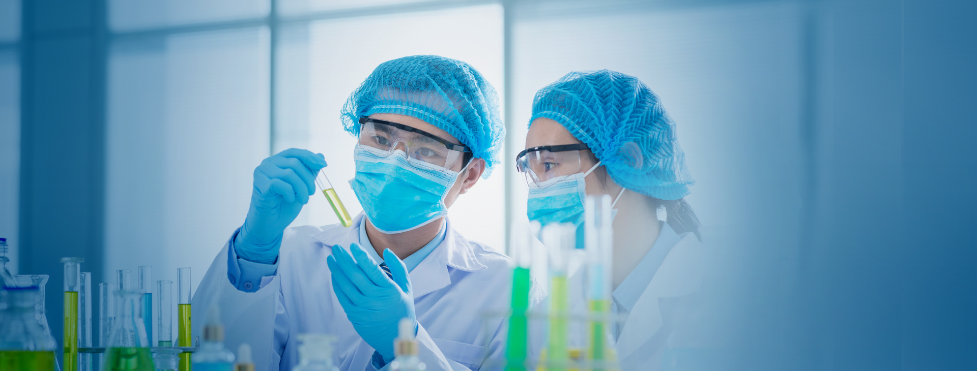 ����̫�����Ź���